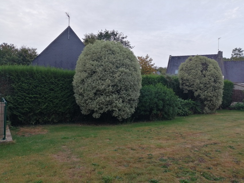 MJ PAYSAGE Paysagiste Vannes Realisations 1