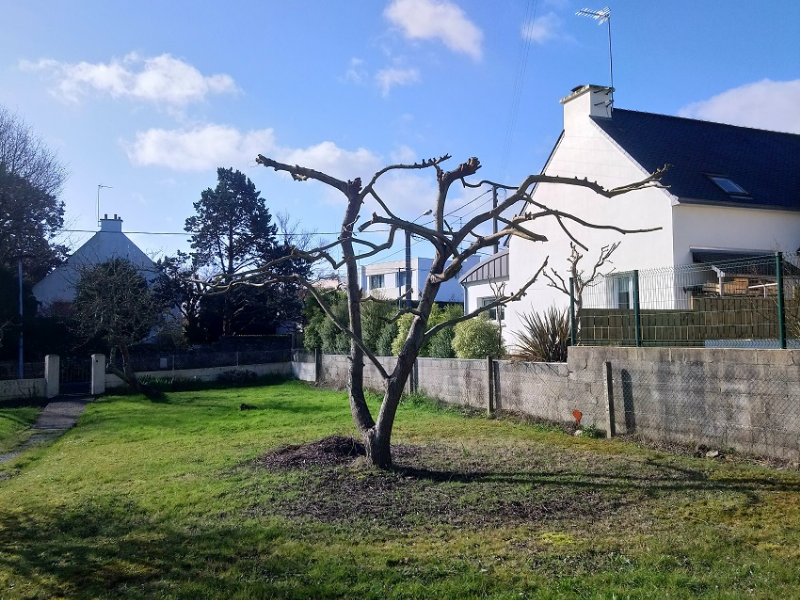 MJ PAYSAGE Paysagiste Vannes Realisations 4