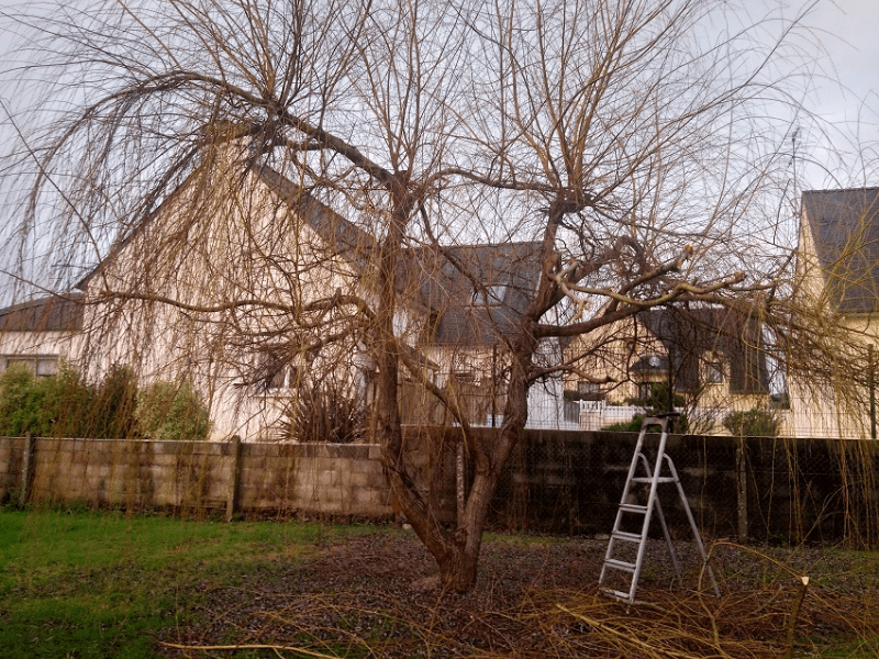 MJ PAYSAGE Paysagiste Vannes Realisations 5