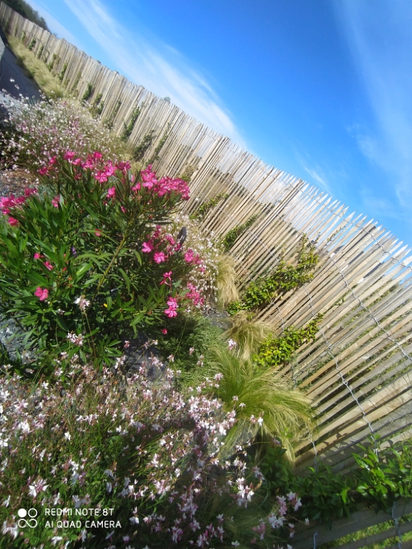 MJ PAYSAGE Paysagiste Vannes Photo Creation Clement GOUMAS