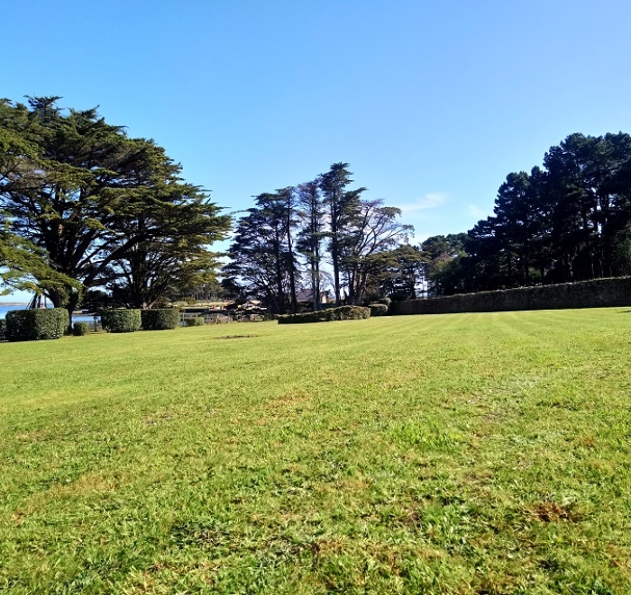 MJ PAYSAGE Paysagiste Vannes Tonte 2 Apres
