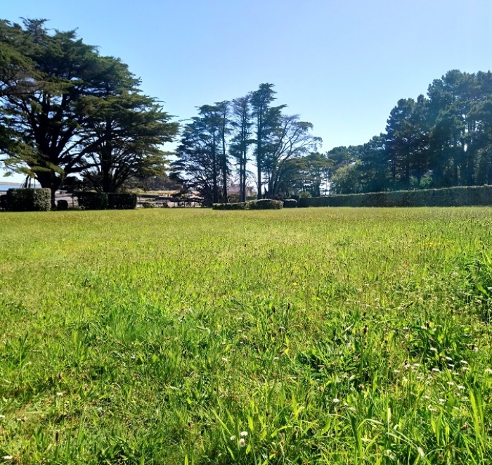 MJ PAYSAGE Paysagiste Vannes Tonte 2 Avant