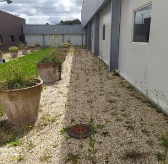 Mj Paysage Paysagiste Vannes Avant2