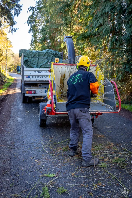 Mj Paysage Paysagiste Vannes ELAGAGE ABATTAGE 4