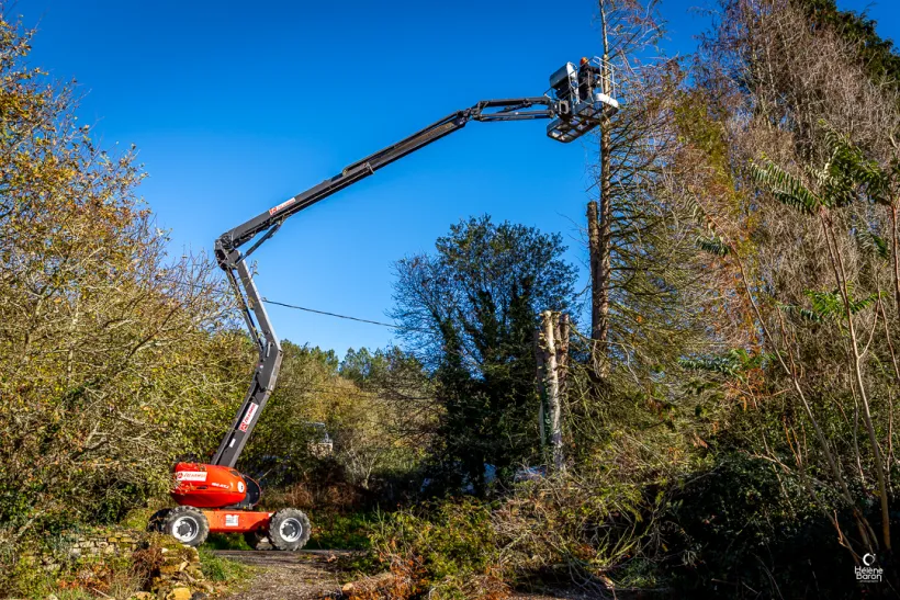 Mj Paysage Paysagiste Vannes ELAGAGE ABATTAGE 6