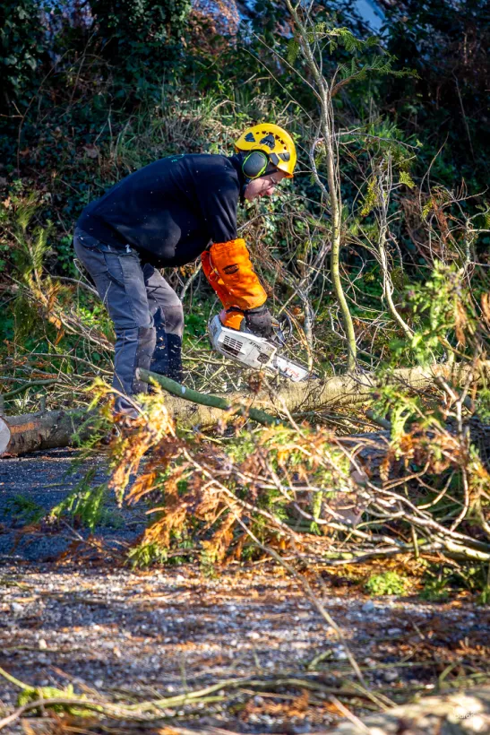 Mj Paysage Paysagiste Vannes ELAGAGE ABATTAGE 7